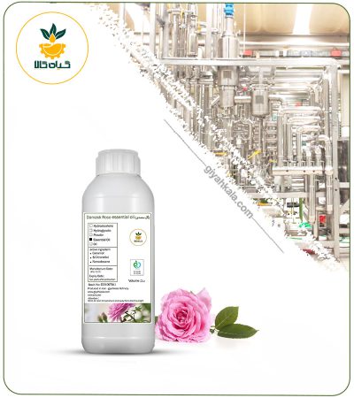 Damask Rose Essential Oil