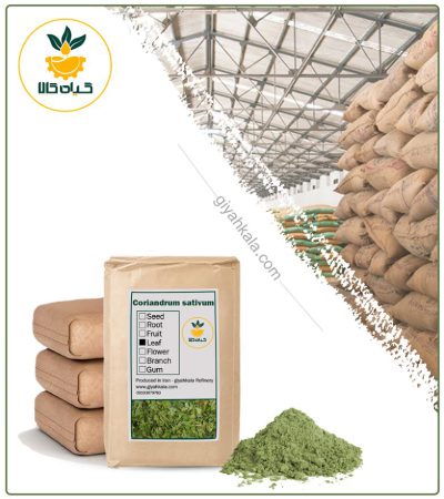 Bulk Coriander Leaf Powder
