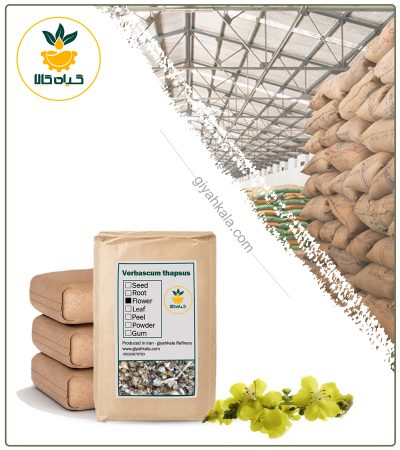 Bulk Dried Mullein Flower