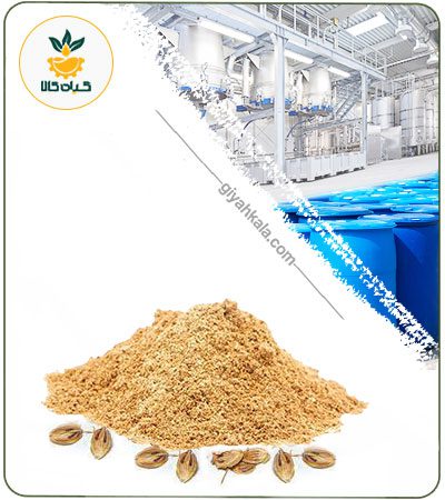 Golpar (Persian Hogweed) Dried or Powder Extract