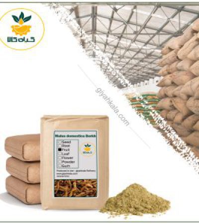 Bulk Apple Fruits Powder