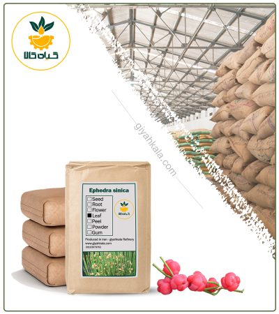 Bulk Dried Salep Root