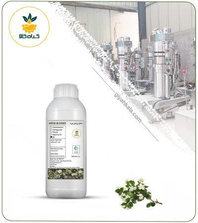 Myrtle (Mytrus Communis) Oil