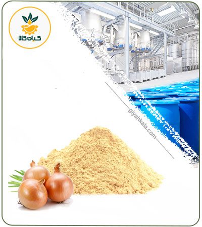 Yellow Onion Powder Extract