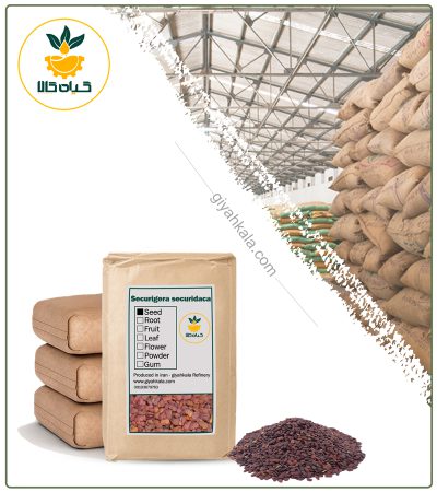 Bulk Dried Crown Vetch Seed