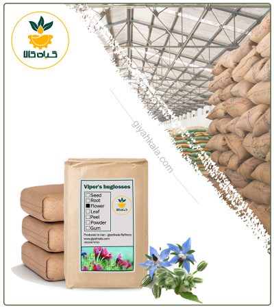 Bulk Dried Borage Grass