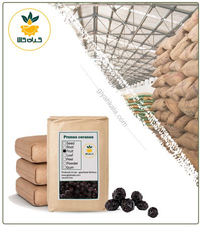 Bulk Dried Sour Cherry