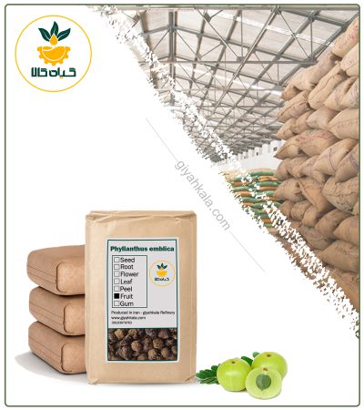 Bulk Dried Indian Gooseberry