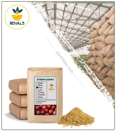Bulk Jujube Powder
