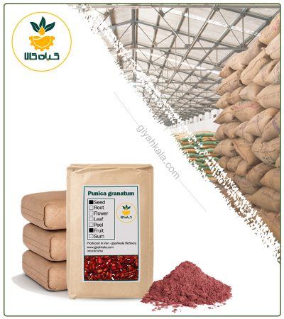 Bulk Pomegranate Fruit Powder