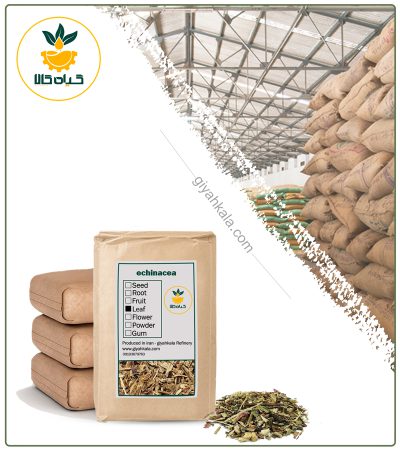 Bulk Dried Echinacea Leaves