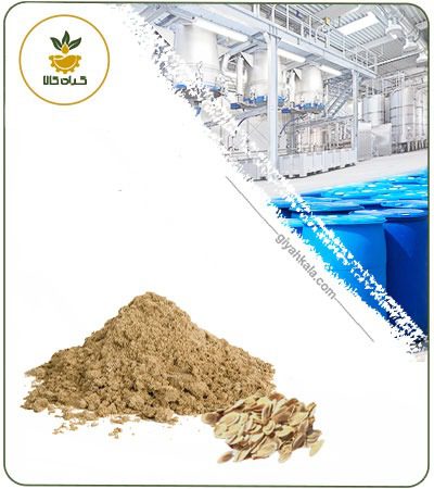 Powder Asafoetida Seed Extract