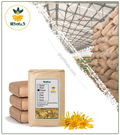 Bulk Dried Arnica