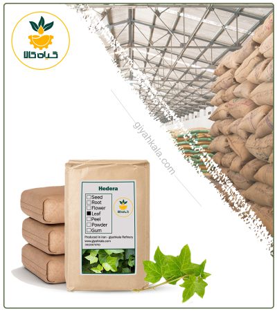 Bulk Dried Ivy (Hedera Helix)