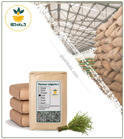 Bulk Dried Garden Thyme Leaves