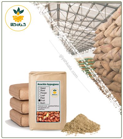 Bulk Dried Peanut Powder