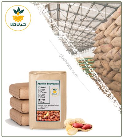 Bulk Dried Peanut Kernel