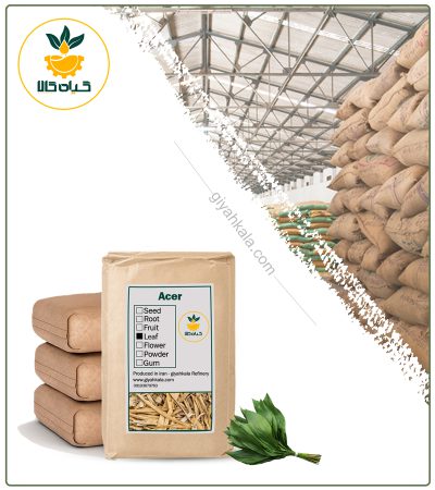 Bulk Dried Bamboo Leaf