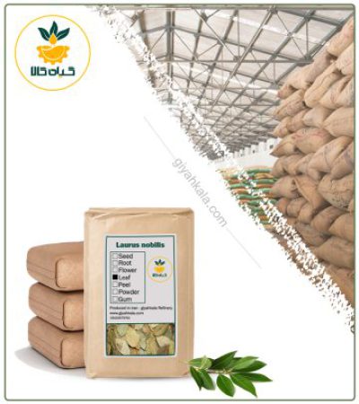 BulK Dried Bay Laurel