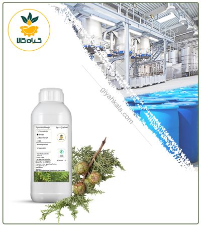Juniper (Juniperus) Leaf Liquid Extract