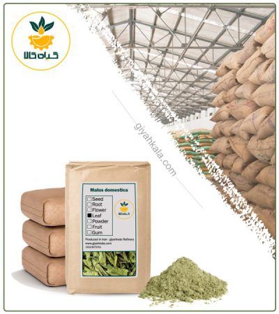 Bulk Apple Leaf Powder