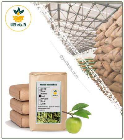 Bulk Dried Apple Leaf