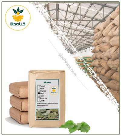 BulK Dried Mulberry Leaf