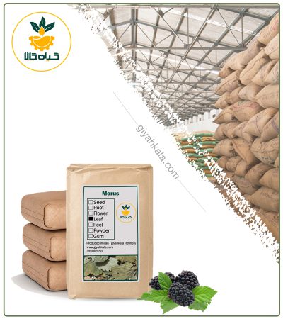 BulK Dried Black Mulberry Leaf