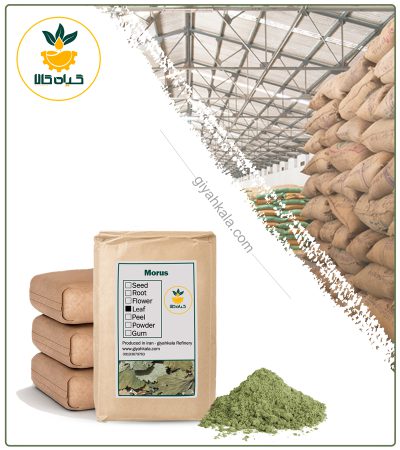 Bulk Coriander Powder