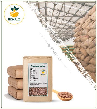 Bulk Dried Plantain Seeds