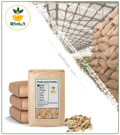 Bulk Dried Asafoetida Seed
