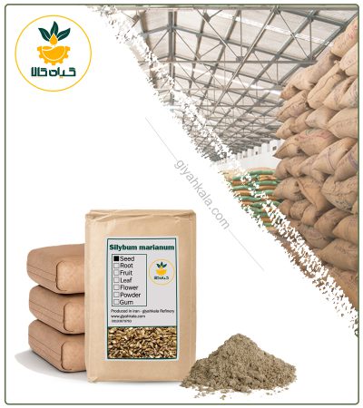 Bulk Milk Thistle Seed Powder