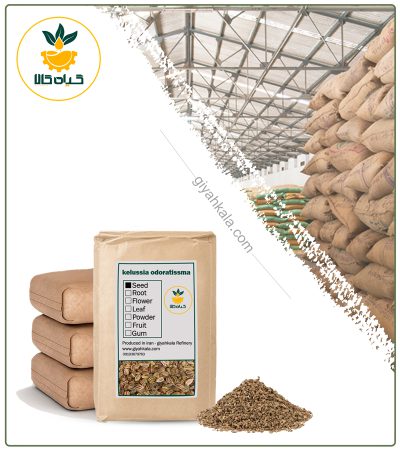 Bulk Dried Celery Seed