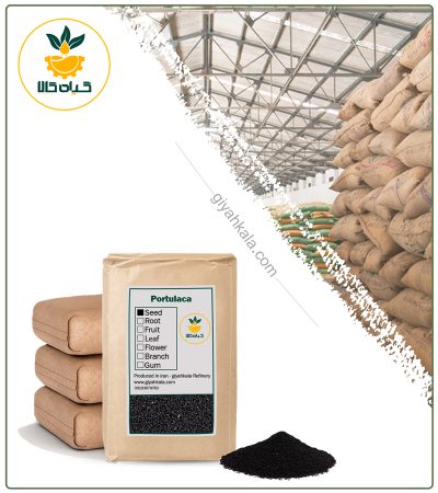 Bulk Dried Purslane Seeds