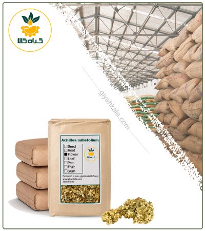 Bulk Dried Yarrow Flower