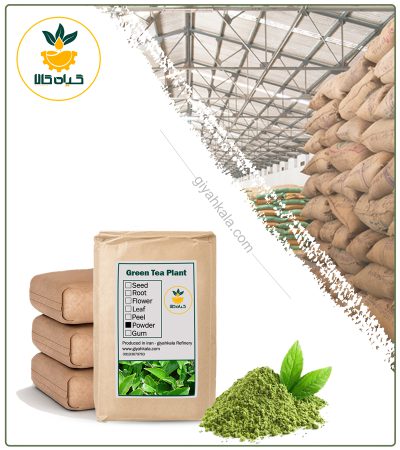 Bulk Green Tea Powder