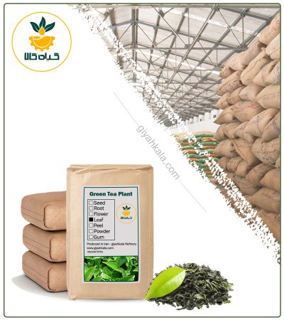 Bulk Dried Green Tea