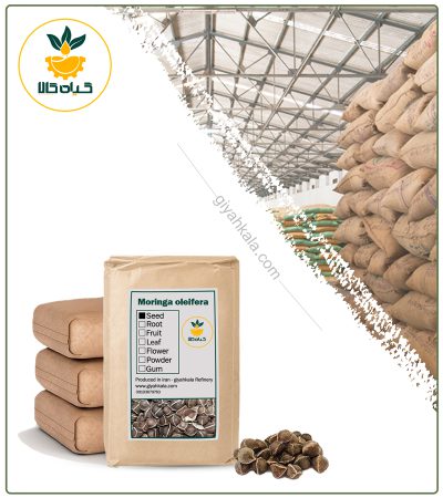 Bulk Dried Moringa Seed