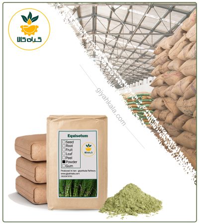 Bulk Horsetail Powder