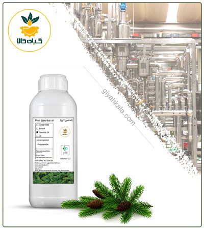 Natural Pine Essential Oil