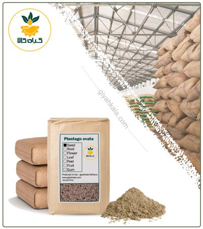 Bulk Psyllium Seeds Powder