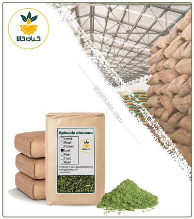 Bulk Spinach Powder