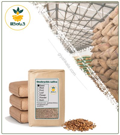 Bulk Dried Sainfoin (Onobrychis Viciifolia) Seed