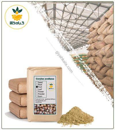 Bulk Hazelnut Fruit Powder