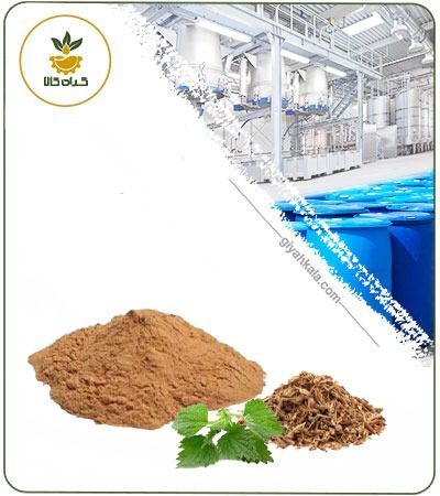 Nettle Root Powder Extract