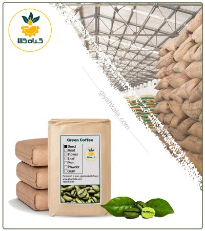 Bulk Dried Green Coffee Beans