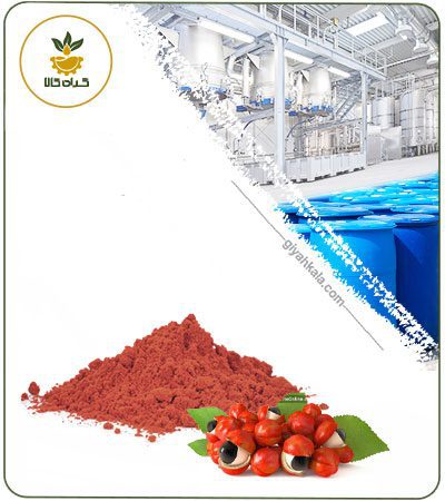 Rosehip Powder Extract