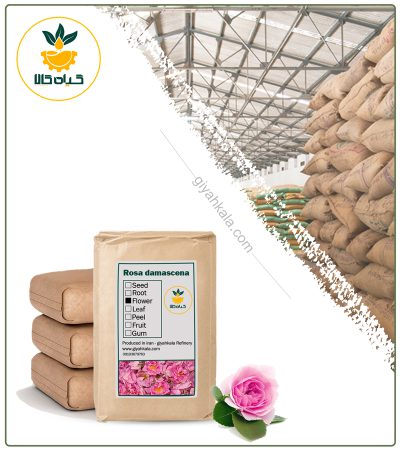 Bulk Fresh Damask Rose