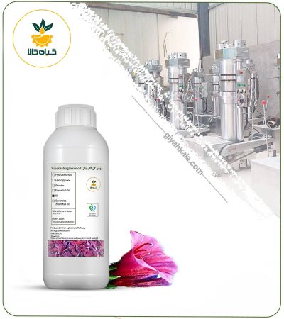 Borage (Starflower) Oil