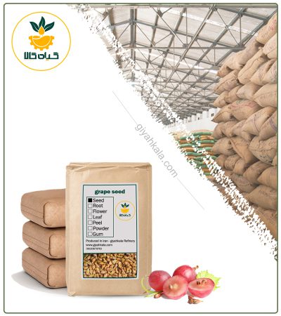 Bulk Dried Grape Seed